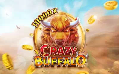 CRAZY BUFFALO