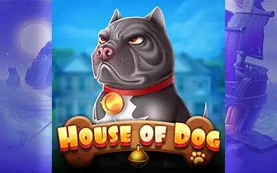 House of Dog