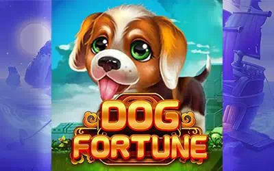 DOG FORTUNE