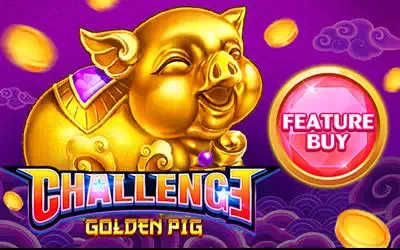 FEATURE BUY - Golden Pig