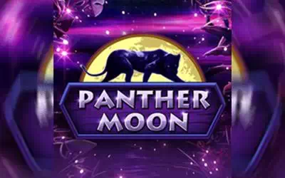 Panther Moon