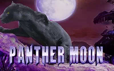 Panther Moon