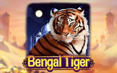 Bengal Tiger